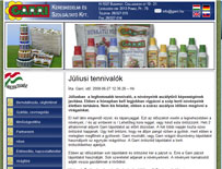 webdesign