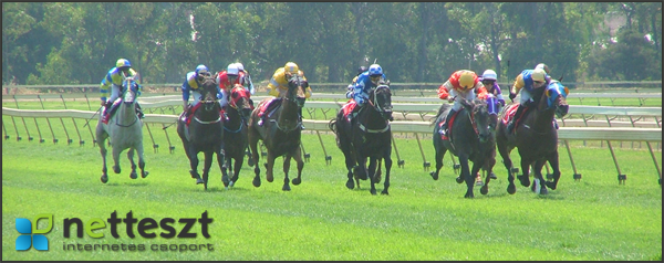 keresőoptimalizálás